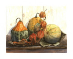 Sierkalebassen, 30 x 40 cm. inclusief passe-partout € 60,--
